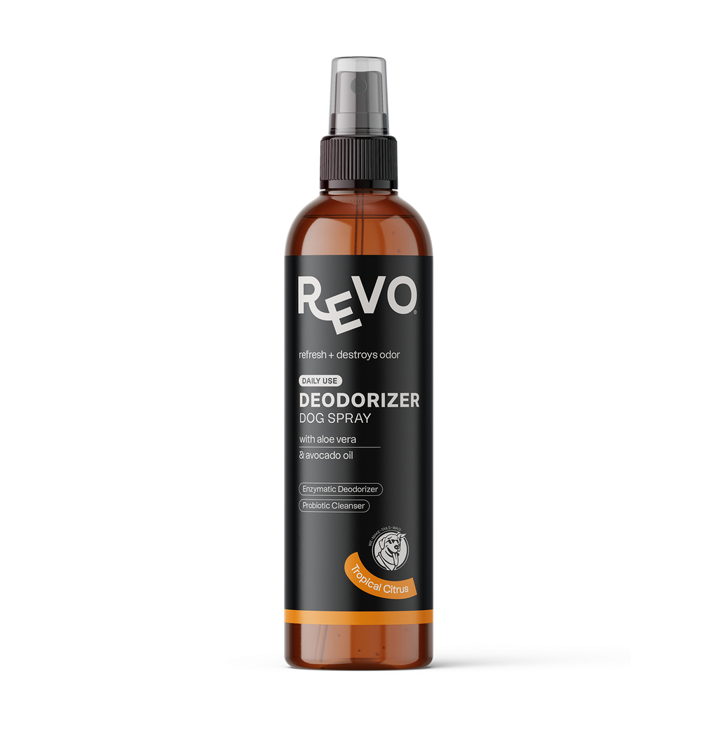 Shop title by vendor | shop.name