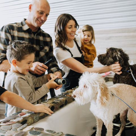 Family bathing their dogs at a Dirty Dogs self-wash station