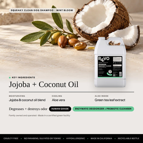 Revo Squeaky Clean Dog Shampoo, Mint Bloom: key ingredients jojoba + coconut oil, degreases + destroys odor, label benefits
