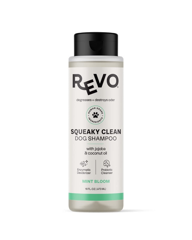 REVO Squeaky Clean Dog Shampoo, Mint Bloom, 16 fl oz bottle