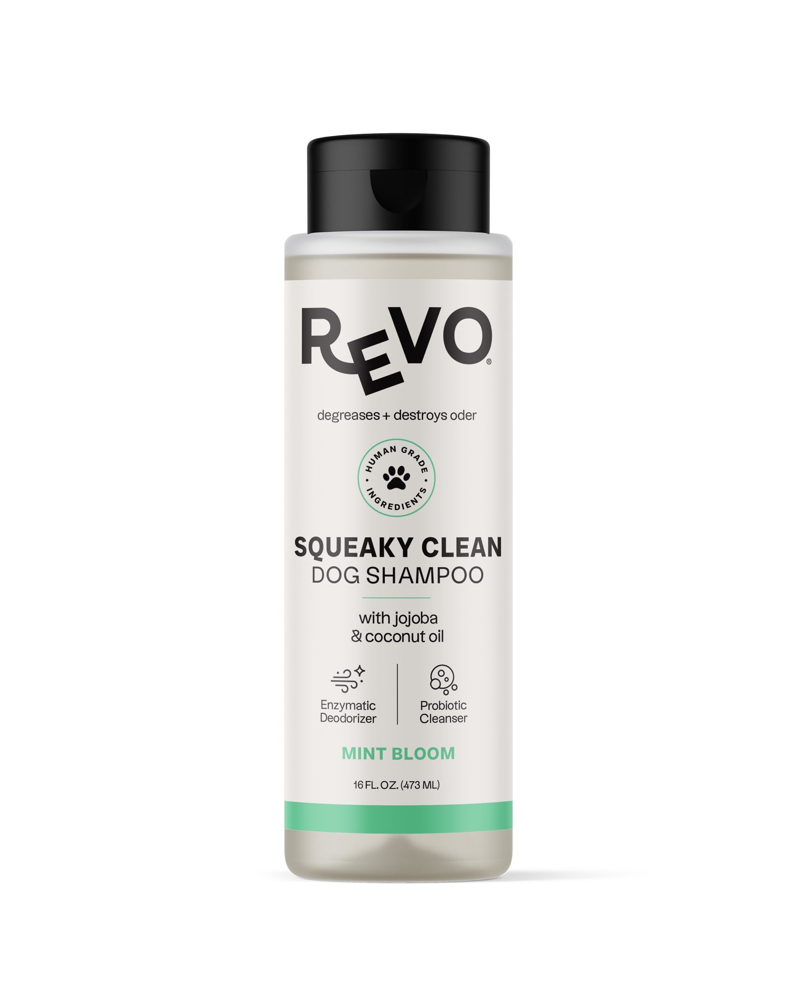 REVO Squeaky Clean Dog Shampoo, Mint Bloom, 16 fl oz bottle, front