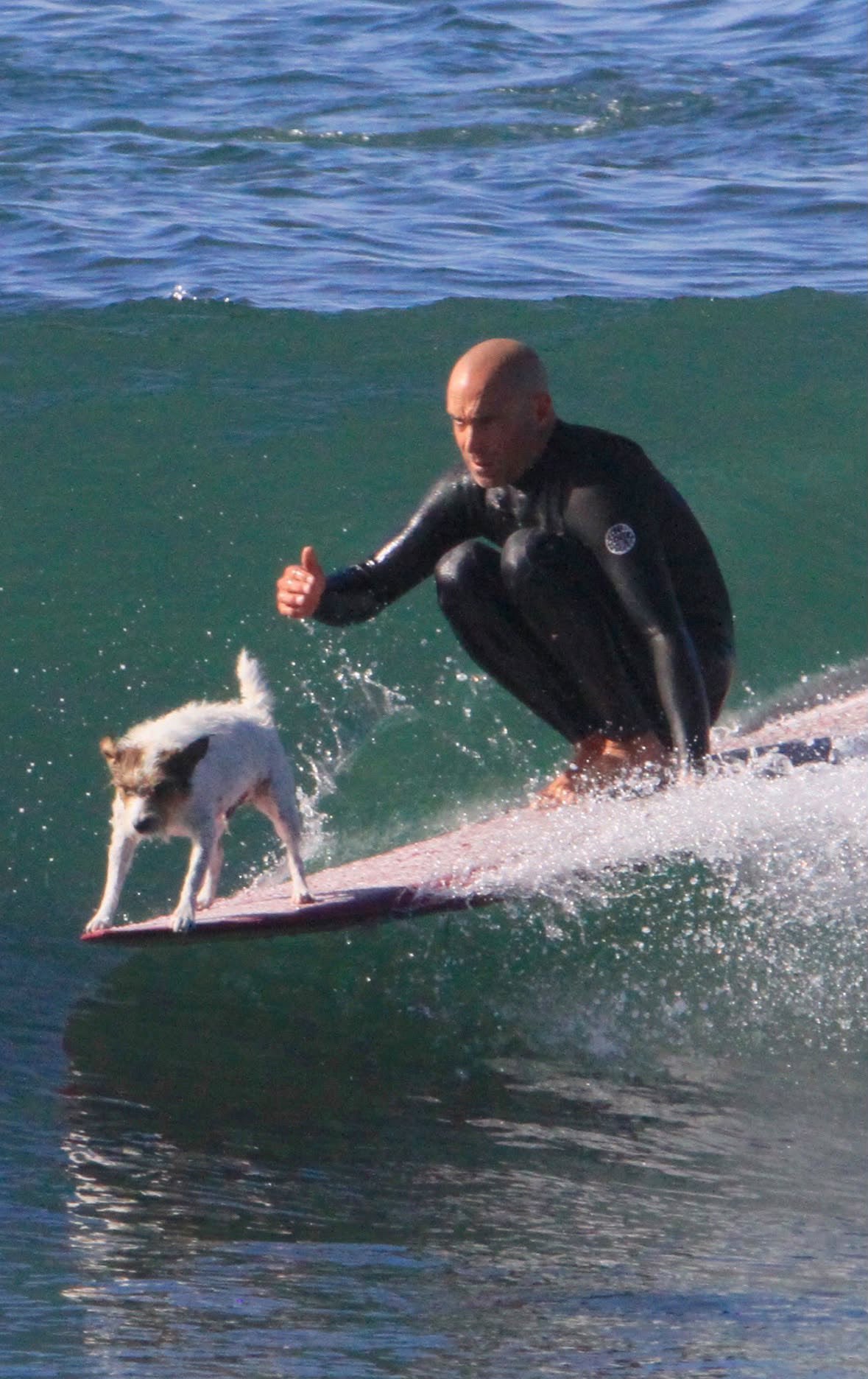 Max surfing beside his person